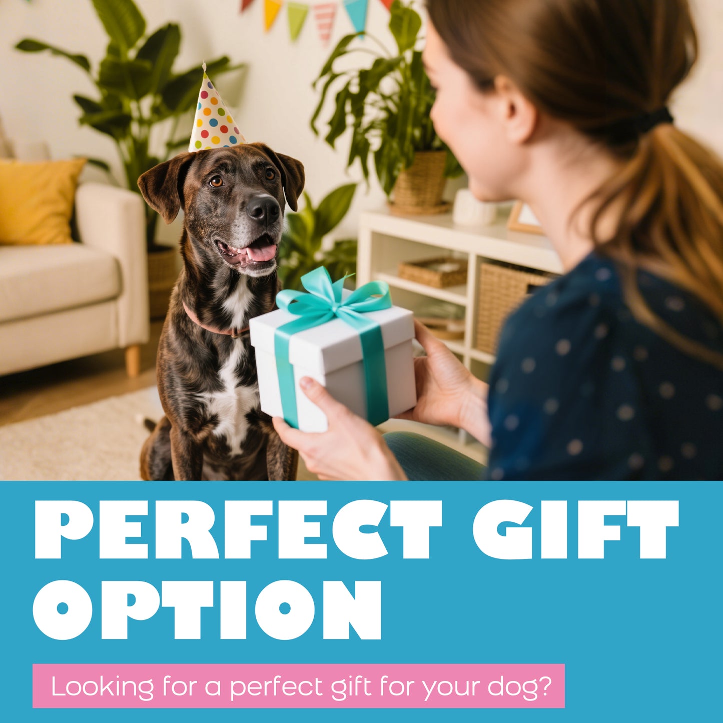 Dog Toys for Aggressive Chewers: Durable Nylon Dog Chew Toy, 3 Refill Zones, Bacon Flavor :Pink & Blue