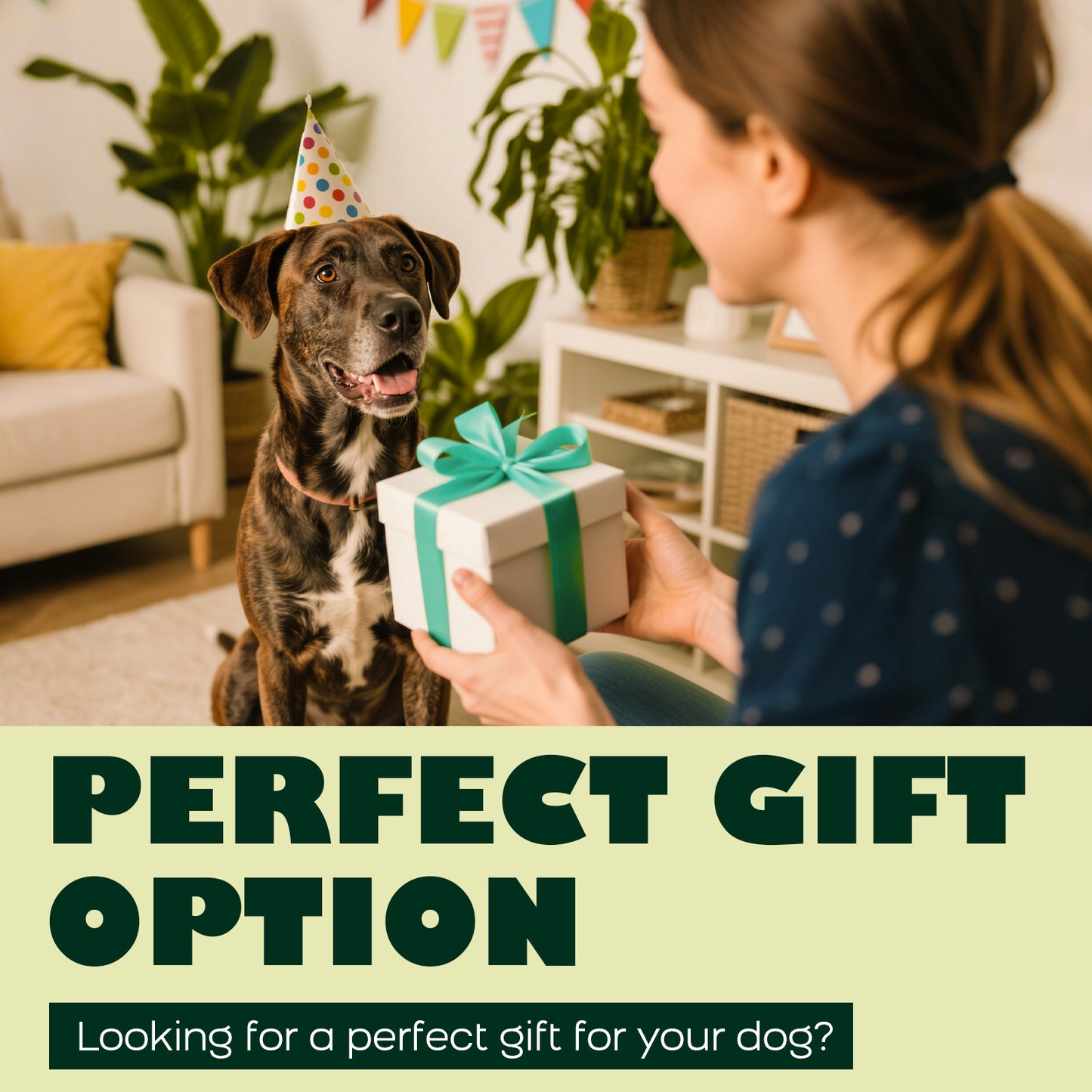 Dog Toys for Aggressive Chewers: Long-Lasting Interactive Dog Toy to Keep Your Dogs Busy