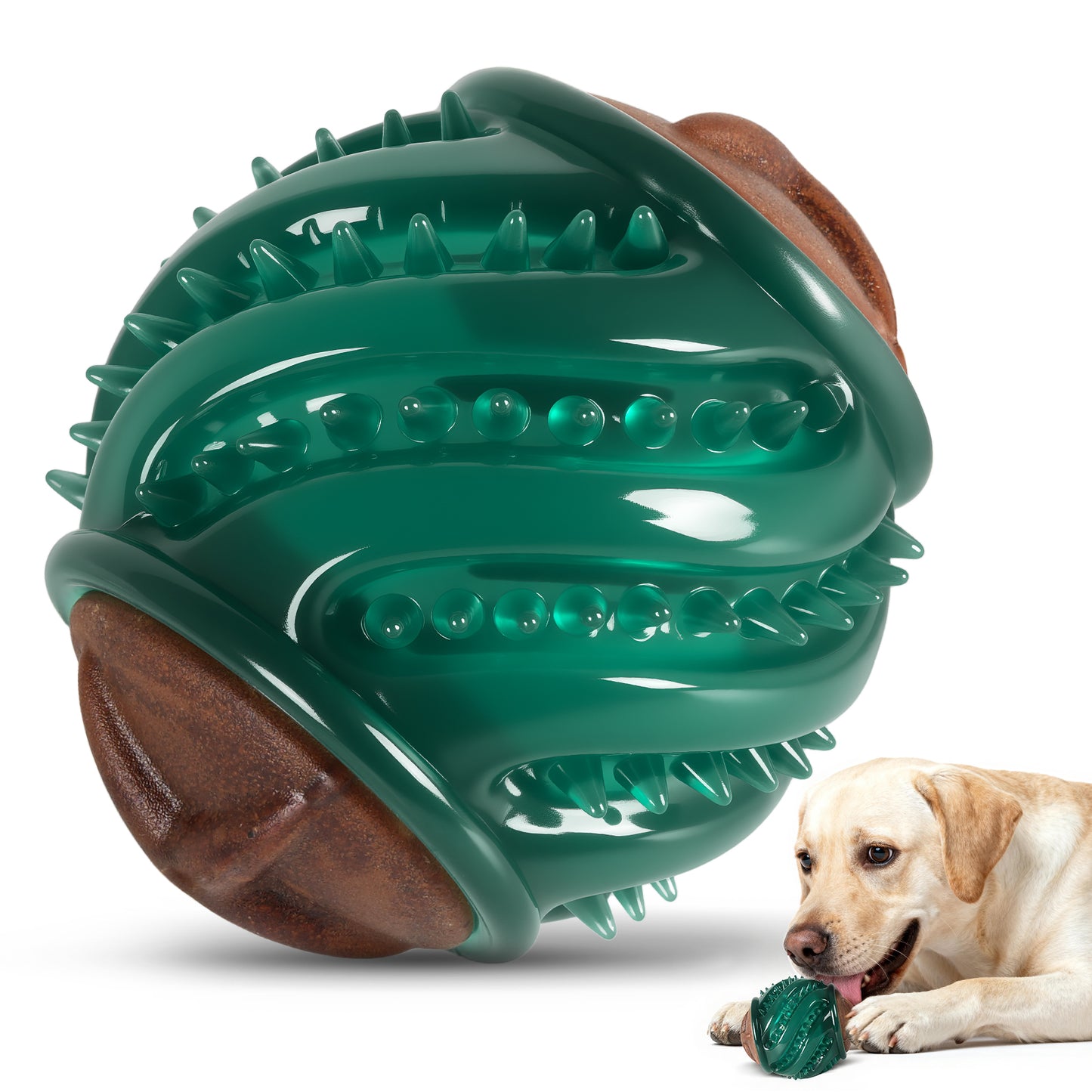 Dog Treats & Chew Toys: Long-Lasting Interactive Dog Toys to Keep Them Busy