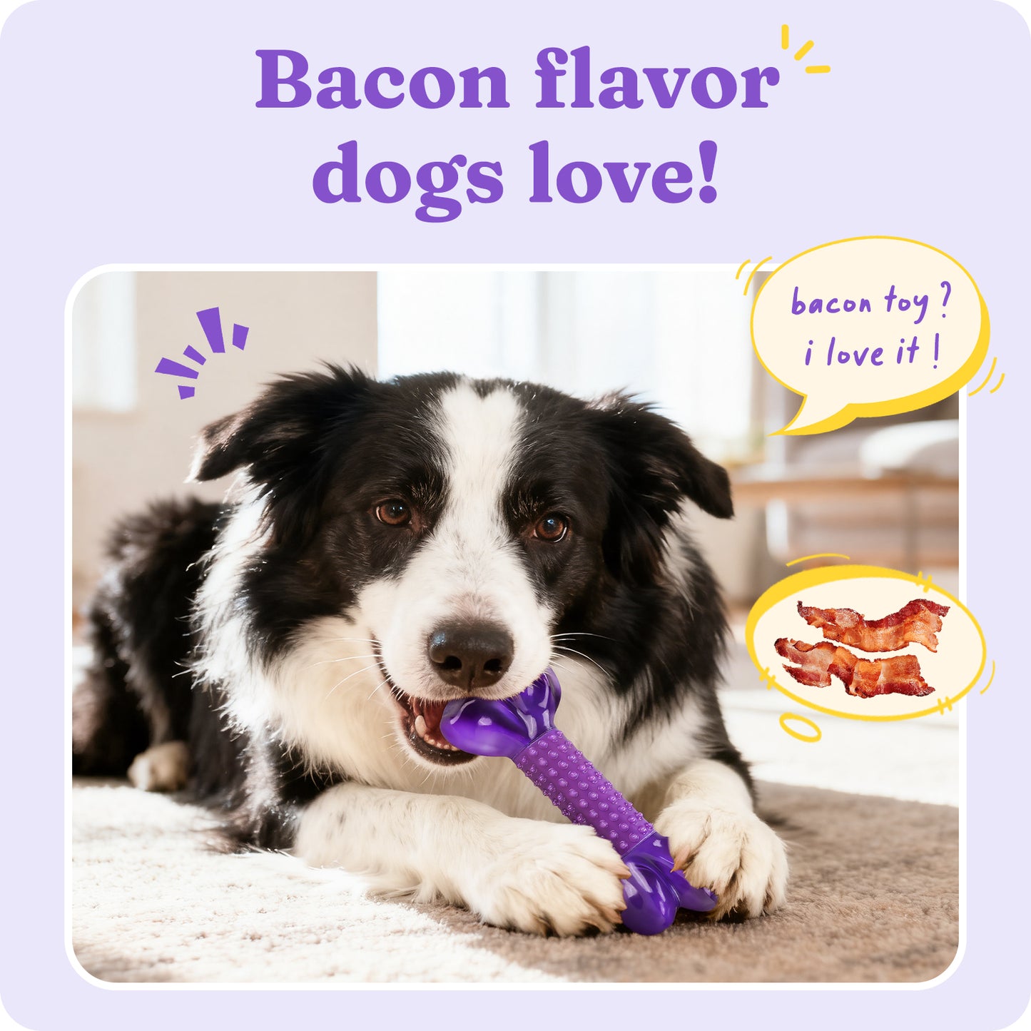 Dog Toys for Aggressive Chewers: Tough Bacon Flavored Nylon Bone to Keeps Them Busy