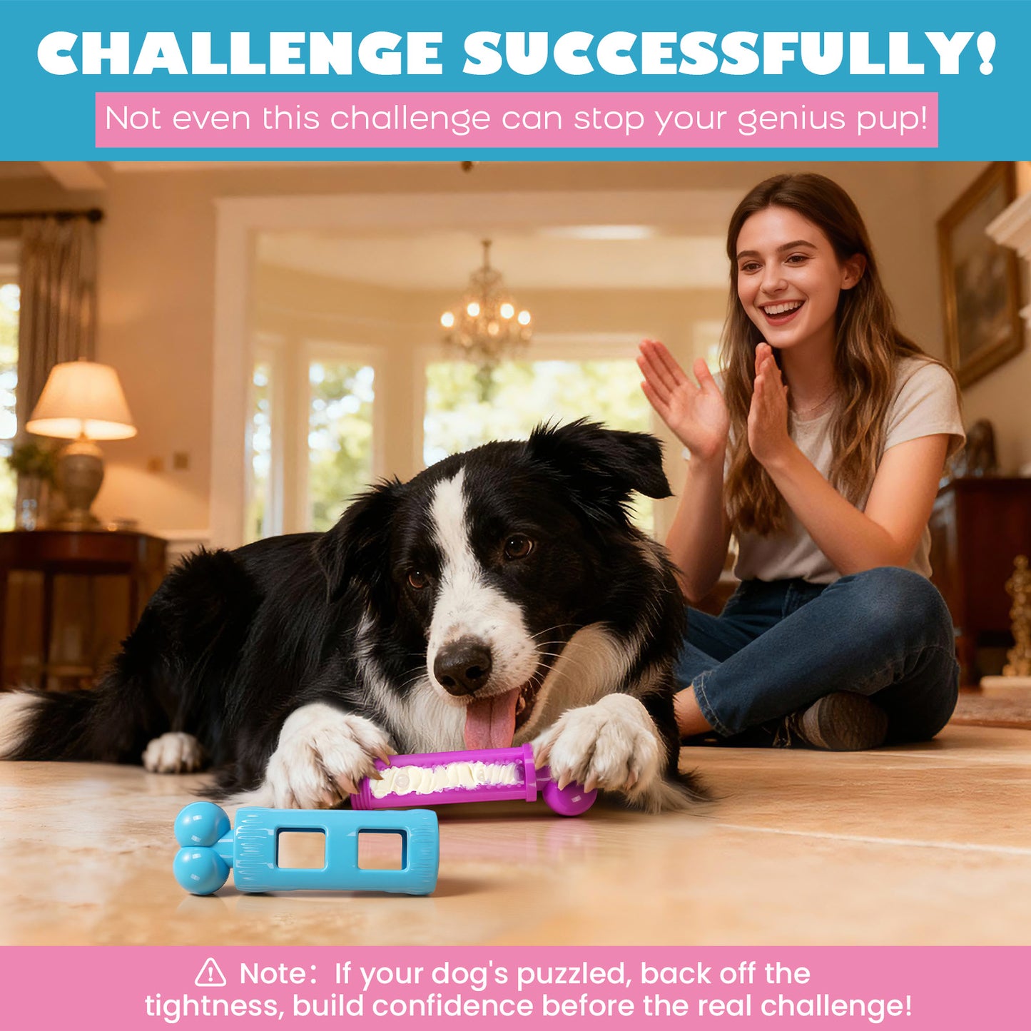 Dog Toys for Aggressive Chewers: Durable Nylon Dog Chew Toy, 3 Refill Zones, Bacon Flavor ：Pink & Blue