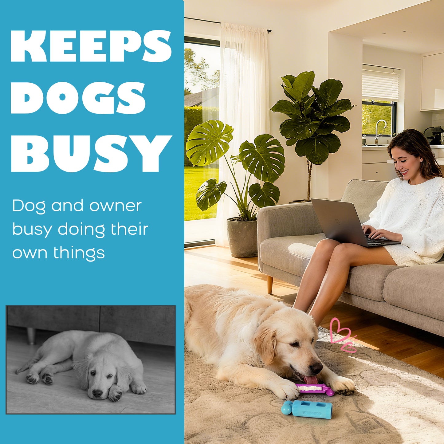 Dog Toys for Aggressive Chewers: Durable Nylon Dog Chew Toy, 3 Refill Zones, Bacon Flavor ：Pink & Blue