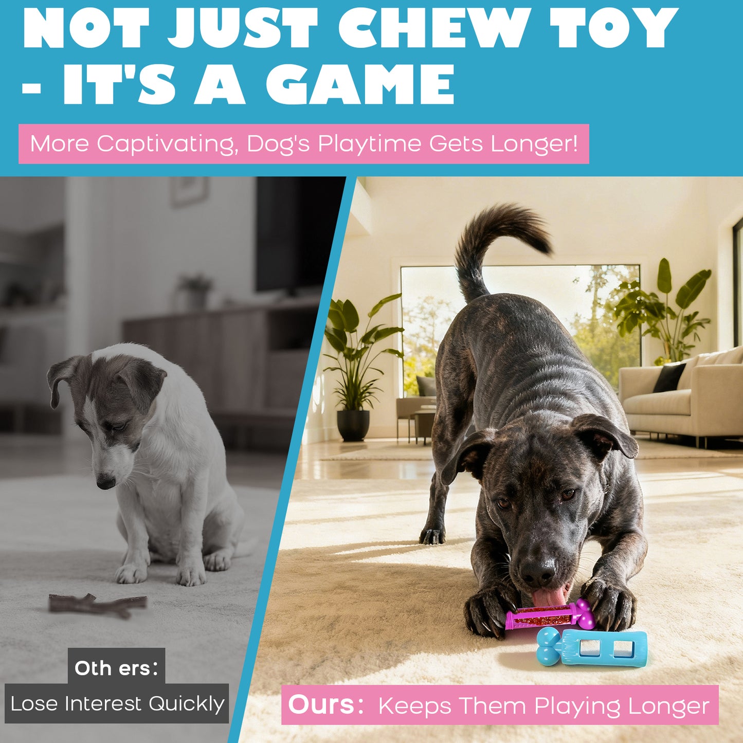 Dog Toys for Aggressive Chewers: Durable Nylon Dog Chew Toy, 3 Refill Zones, Bacon Flavor ：Pink & Blue