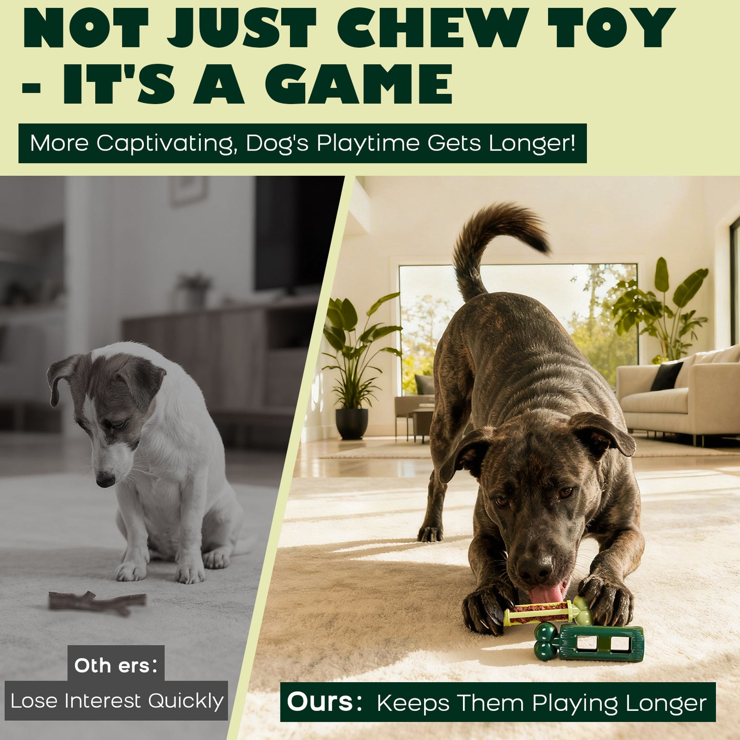 Dog Toys for Aggressive Chewers: Long-Lasting Interactive Dog Toy to Keep Your Dogs Busy
