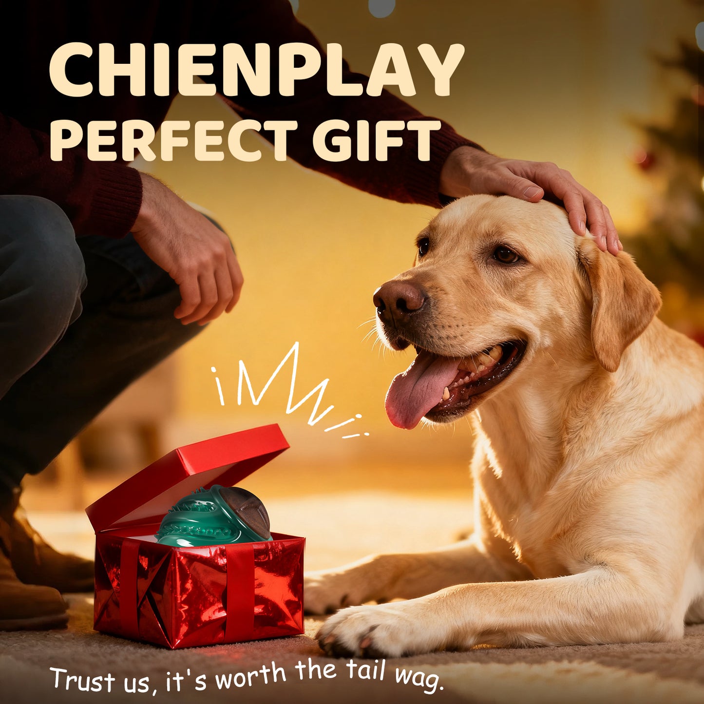 Dog Treats & Chew Toys: Long-Lasting Interactive Dog Toys to Keep Them Busy