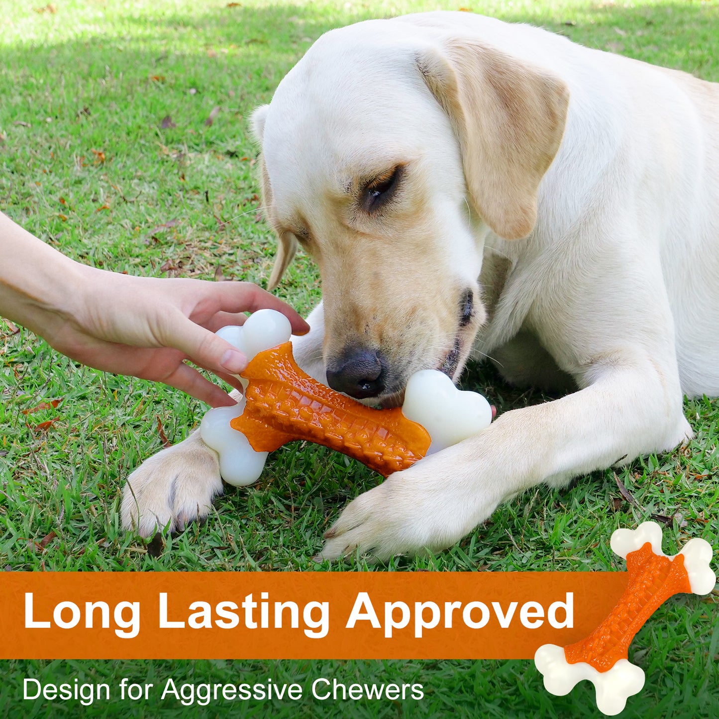 Kseroo Tough Dog Bone Toys, for Aggressive Chewers