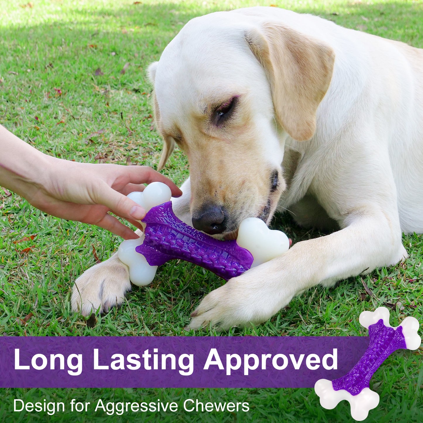 Kseroo Tough Dog Bone Toys, for Aggressive Chewers