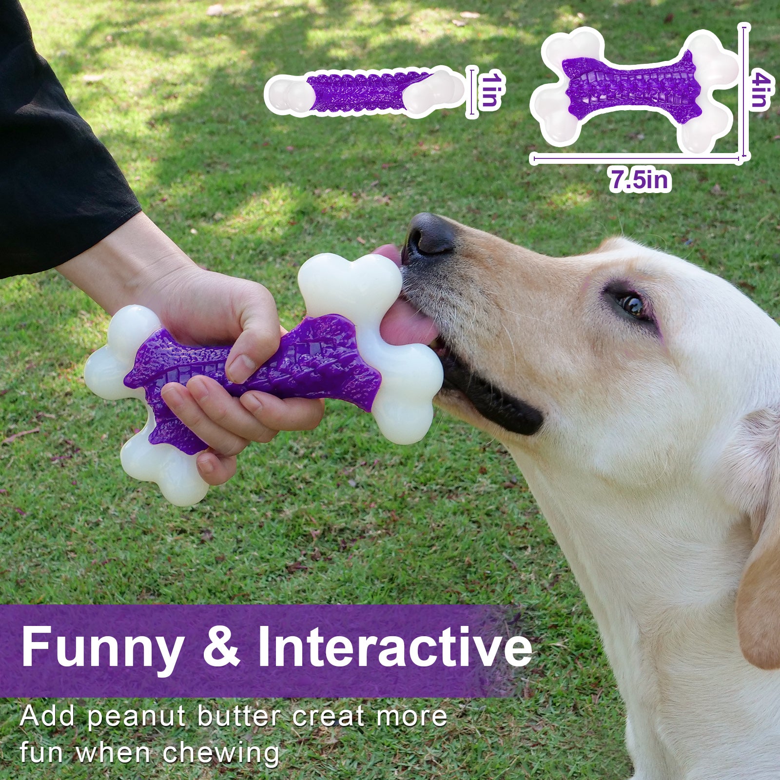 Tough Toy for Aggressive Chewers!